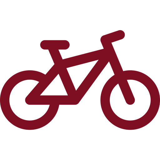 e-Bike icon