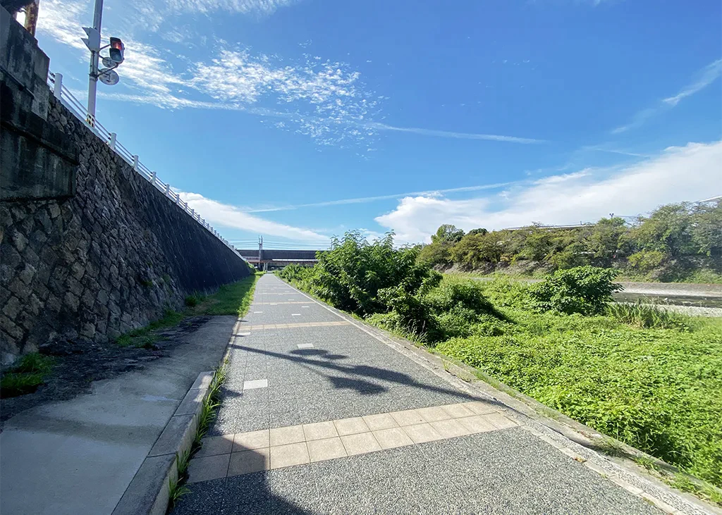 鴨川を自転車で走る様子。