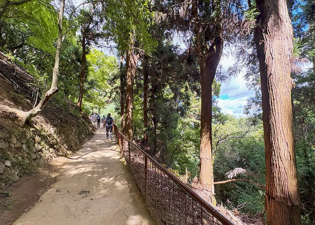 モンキーパーク山頂までのハイキング。