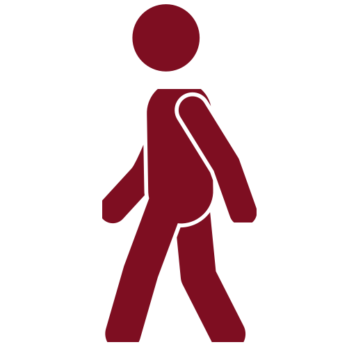 Walking Icon