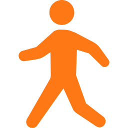 Walking Icon