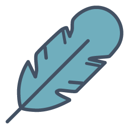 Display Icon