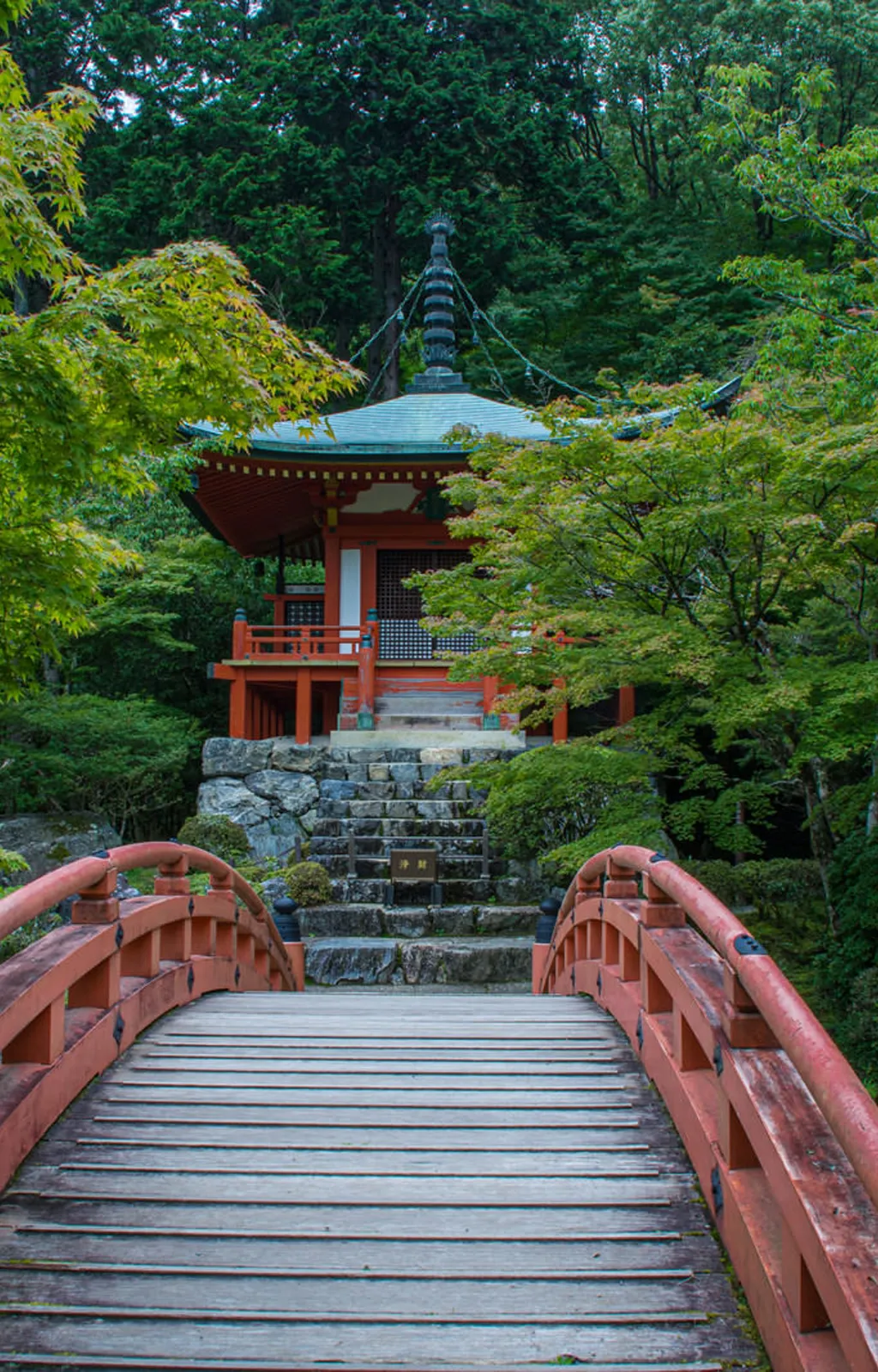 Spot Photo 6
