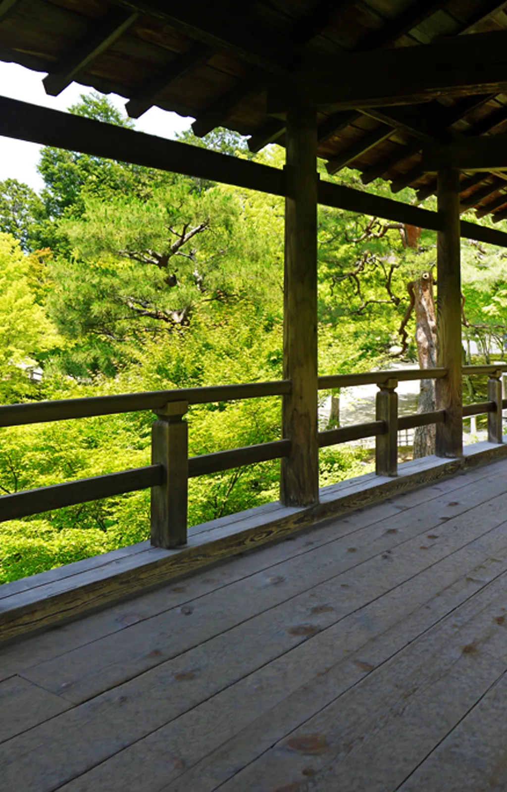 Spot Photo 4