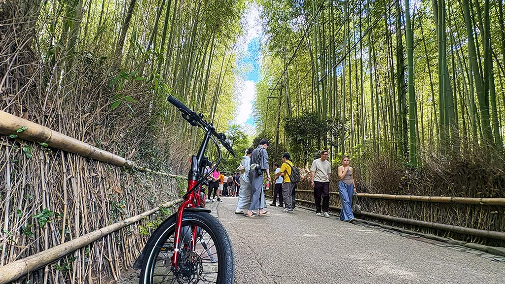 Arashiyama Bamboo Grove