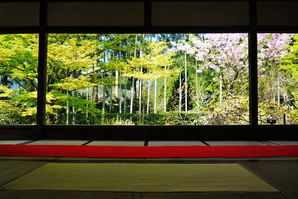 宝泉院