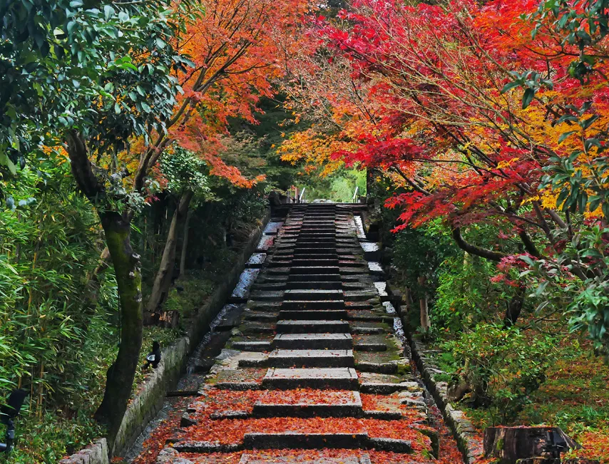 高台寺近くのねねの道