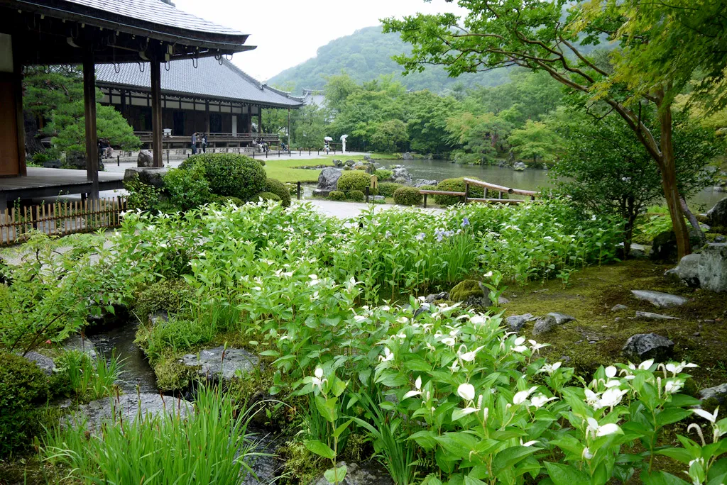 天龍寺の有名な庭園