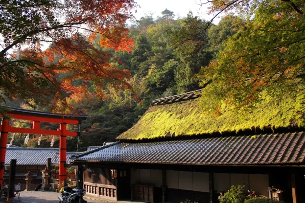 嵯峨鳥居本町の歴史的な街並み